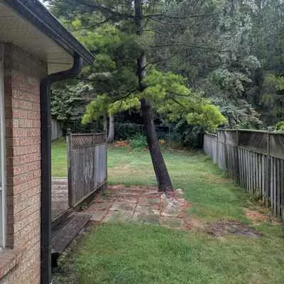 38, Bambi, Bolton West, Caledon