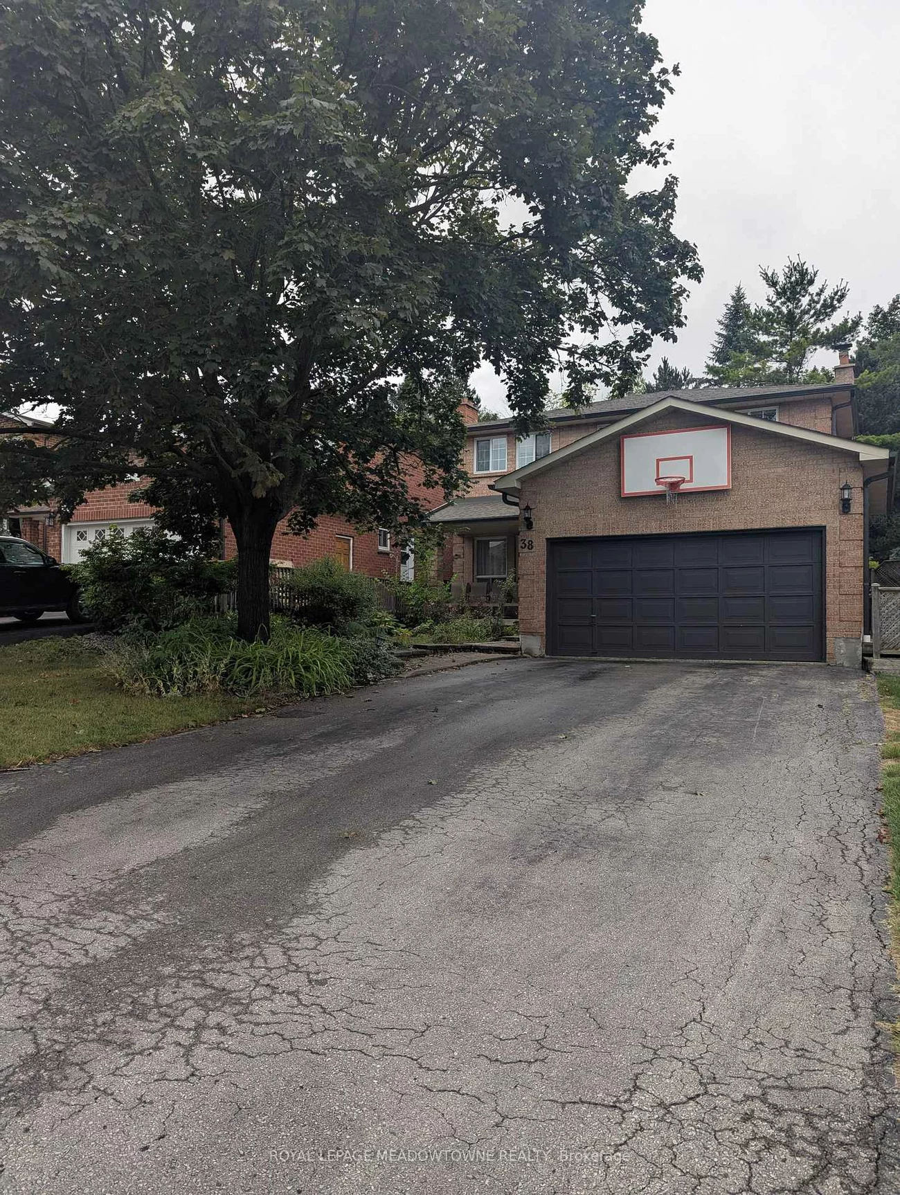 38, Bambi, Bolton West, Caledon