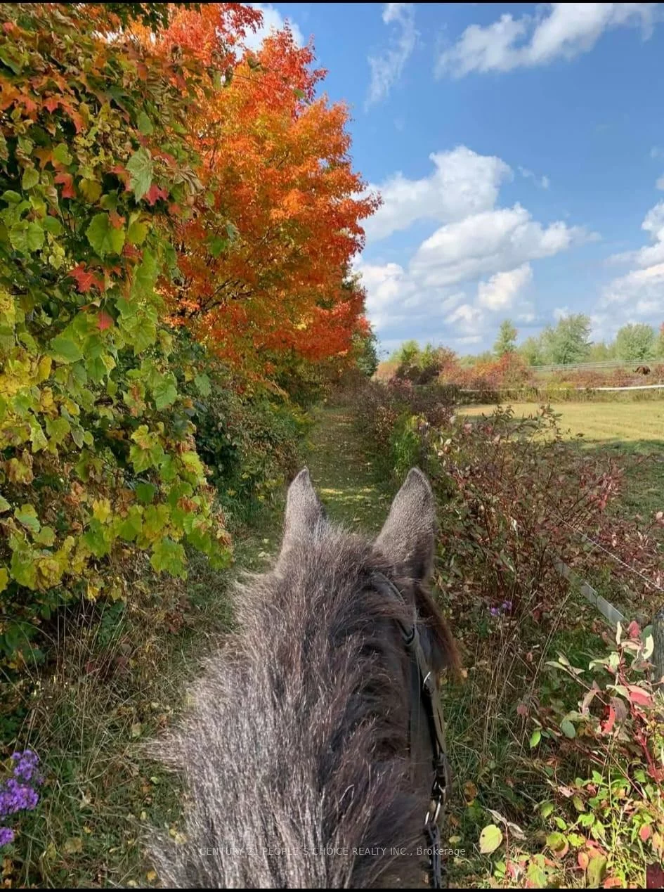 18743, St Andrews, Rural Caledon, Caledon