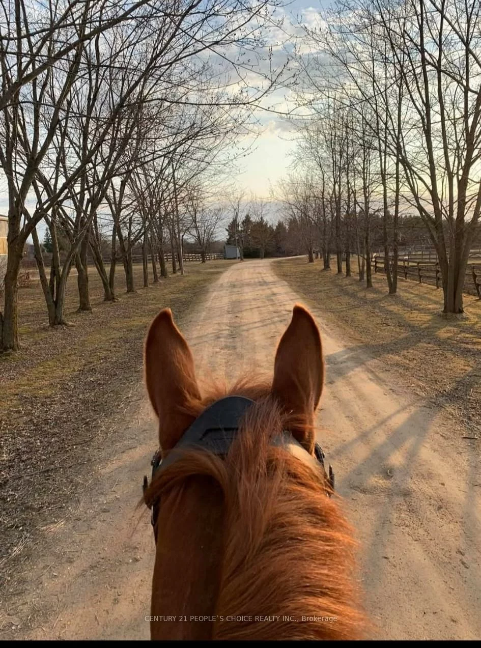 18743, St Andrews, Rural Caledon, Caledon