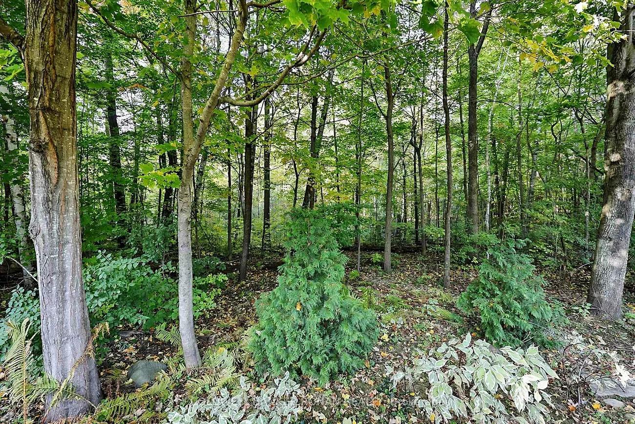 5, Hilliard, Caledon East, Caledon