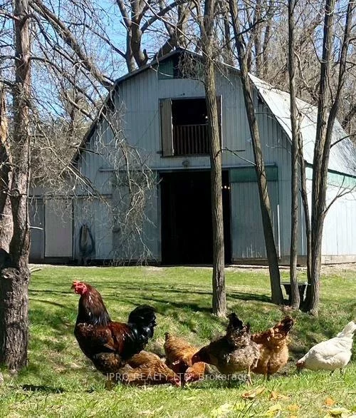7454, Old Church, Rural Caledon, Caledon