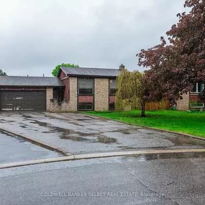 282, Whitehead, Bolton North, Caledon