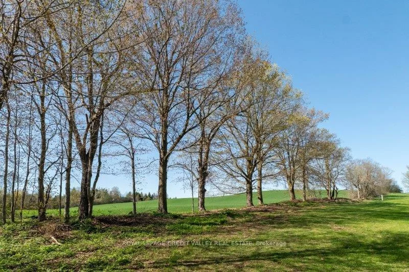 15719, Shaws Creek, Rural Caledon, Caledon