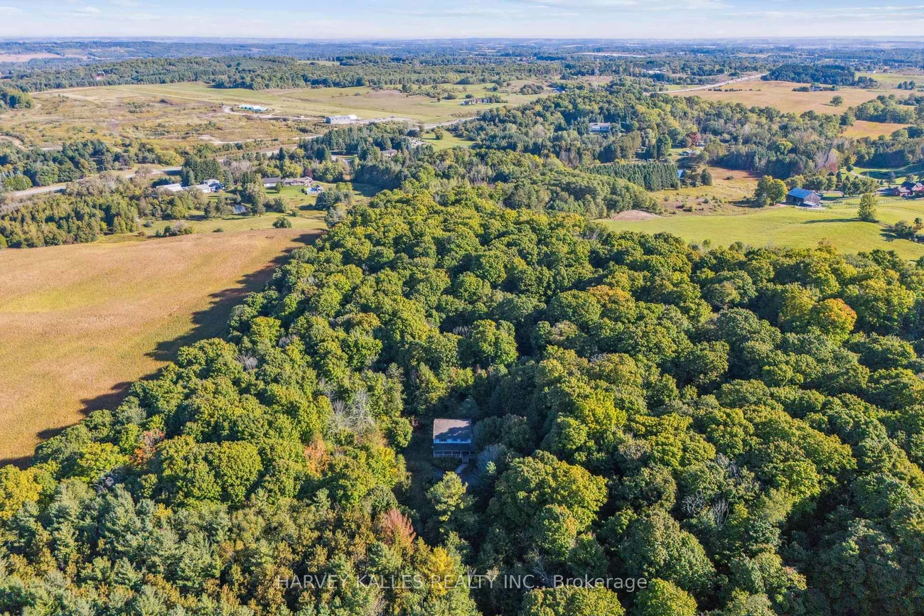 16771, Albion, Palgrave, Caledon