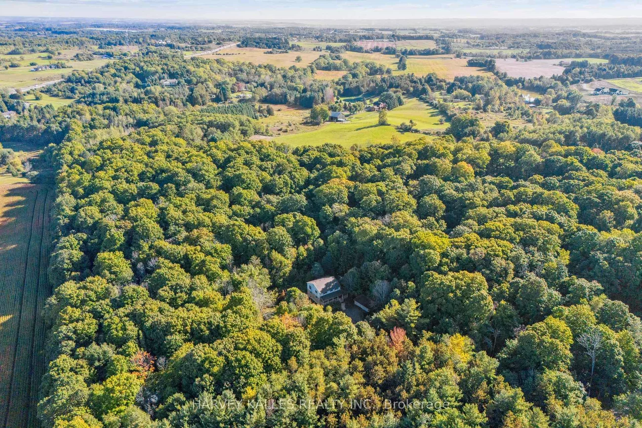 16771, Albion, Palgrave, Caledon