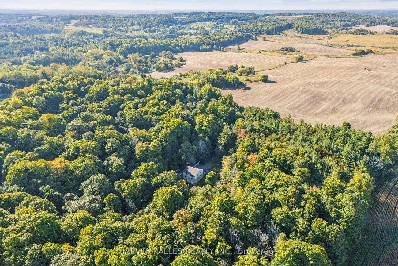 16771, Albion, Palgrave, Caledon