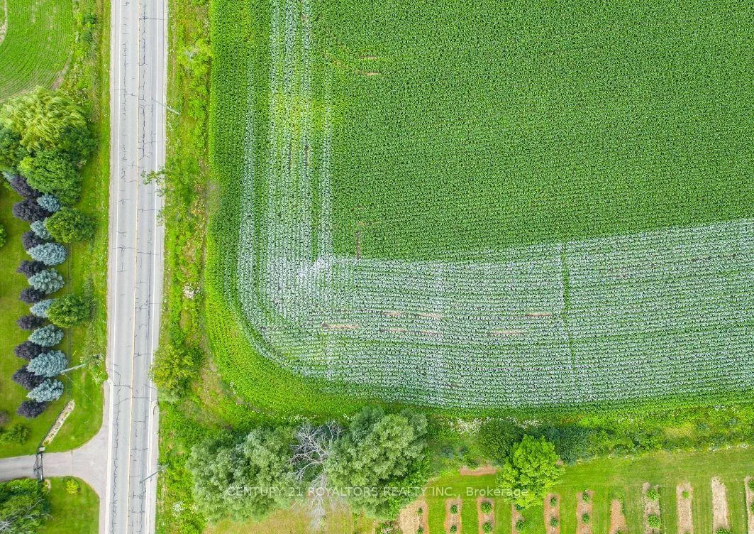 Dixie, Rural Caledon, Caledon