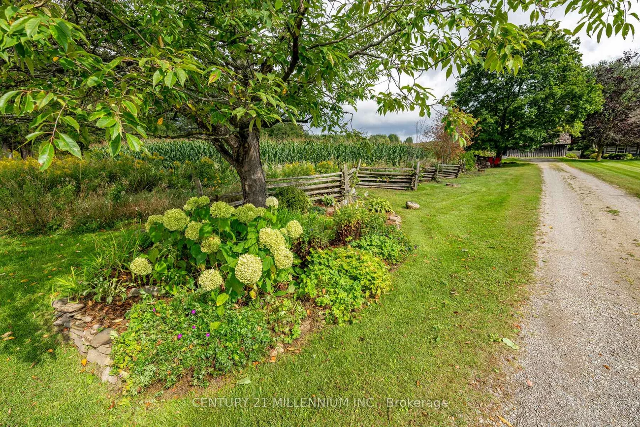 20909, Shaws Creek, Alton, Caledon