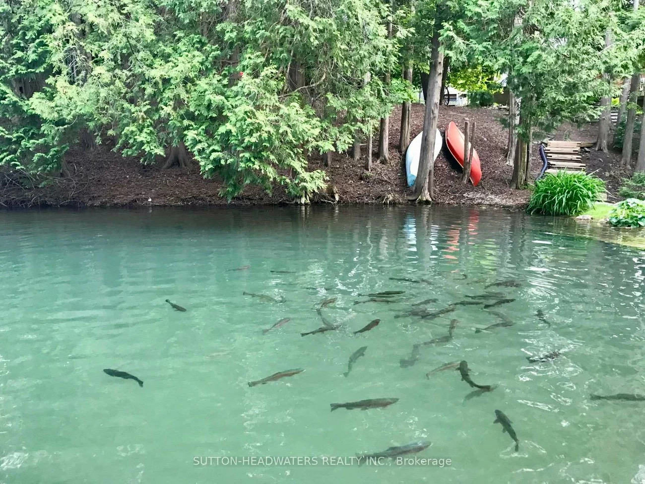 563, River, Rural Caledon, Caledon