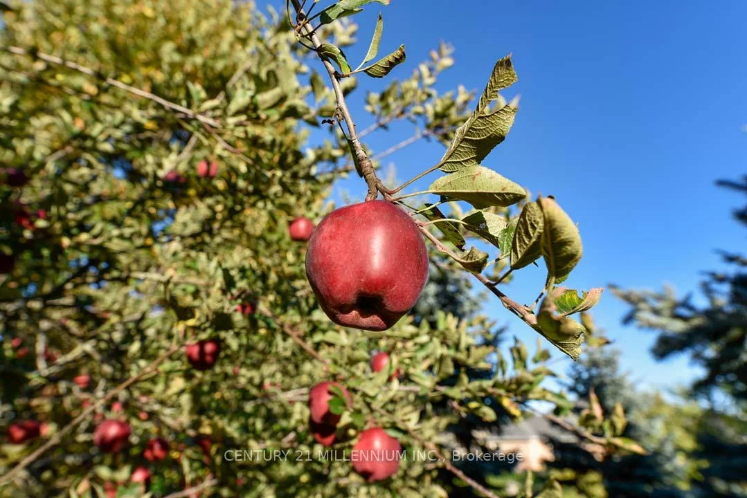 8, Castlewood, Rural Caledon, Caledon