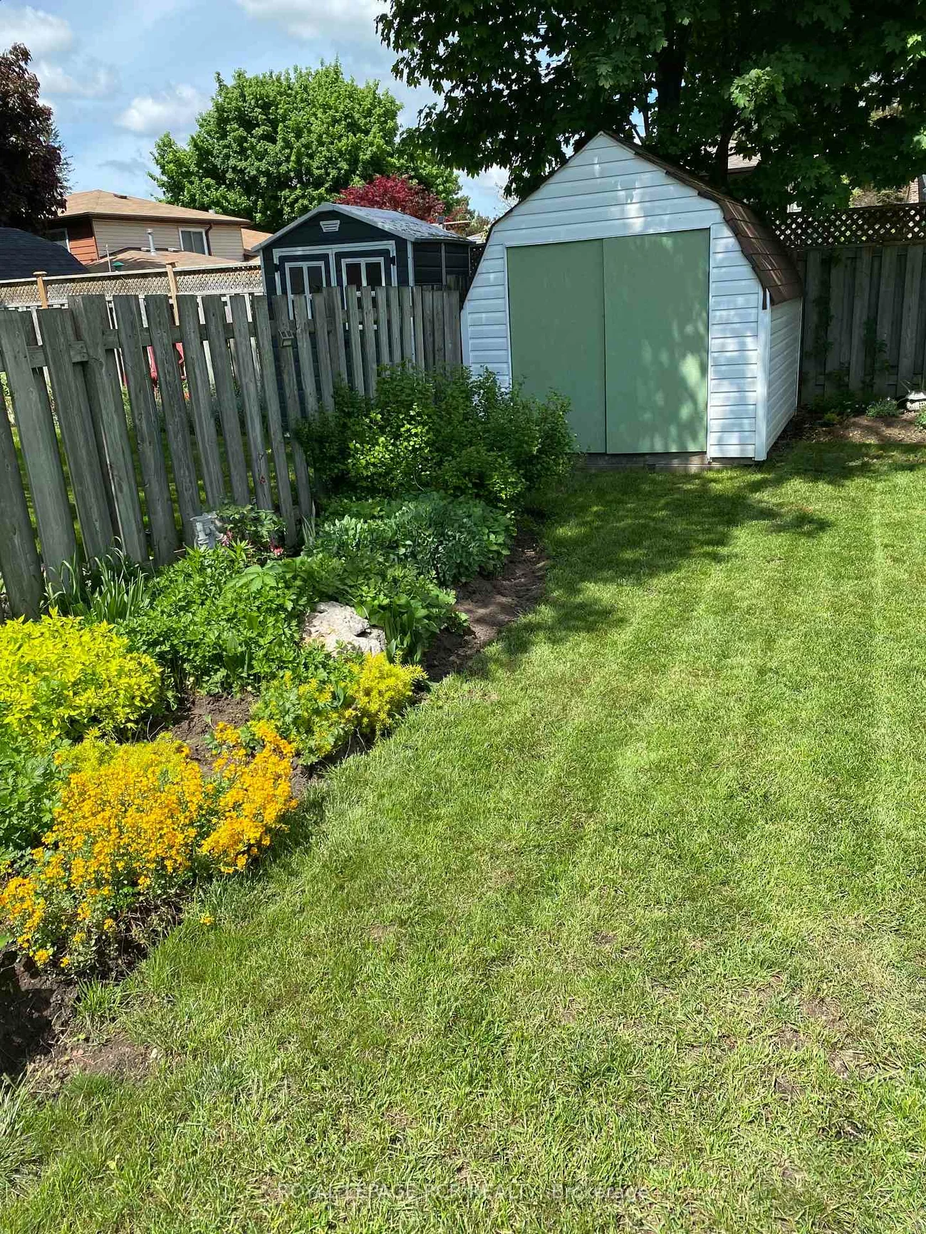 311, Whitehead, Bolton North, Caledon