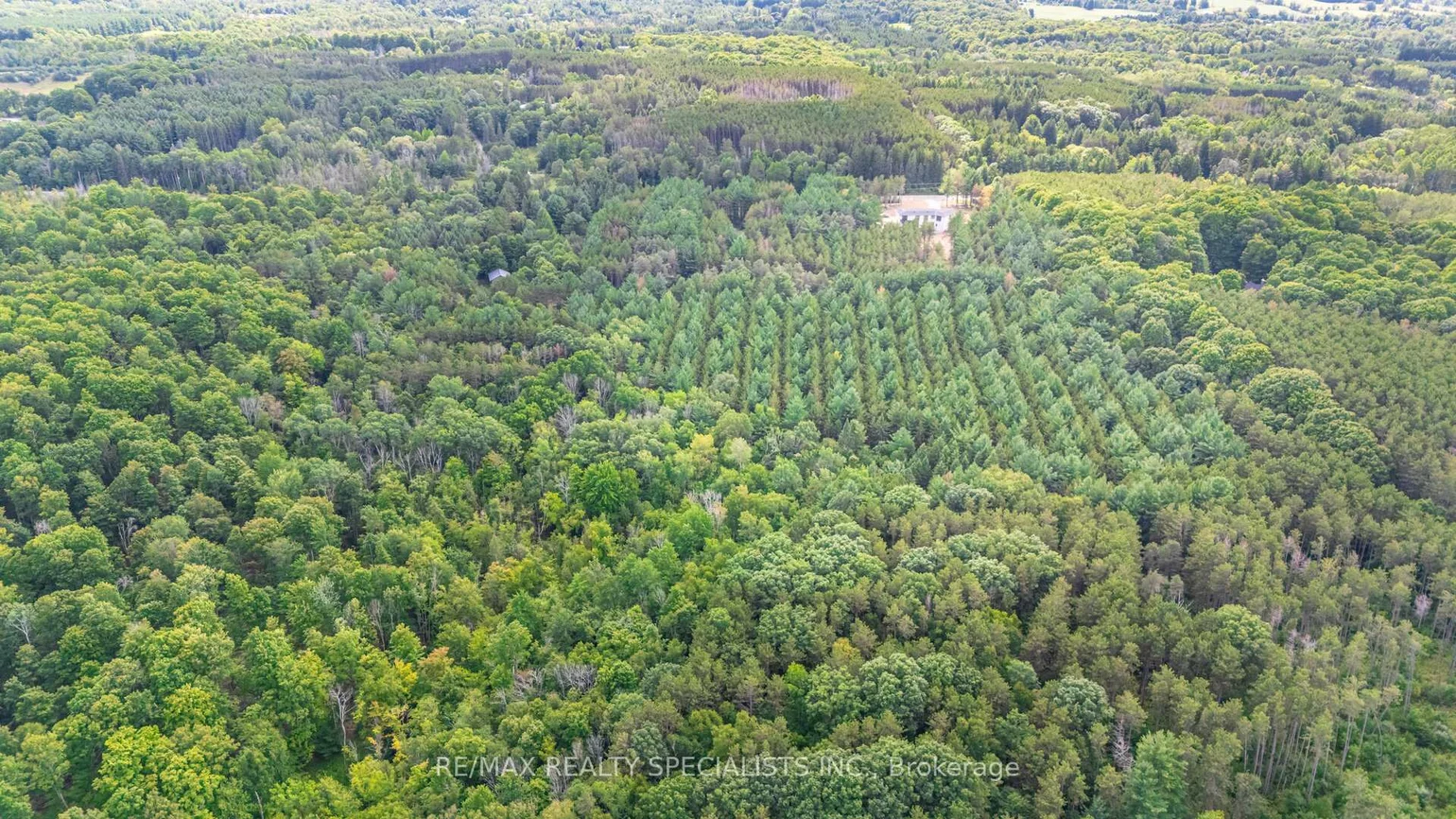 18711, The Gore, Rural Caledon, Caledon