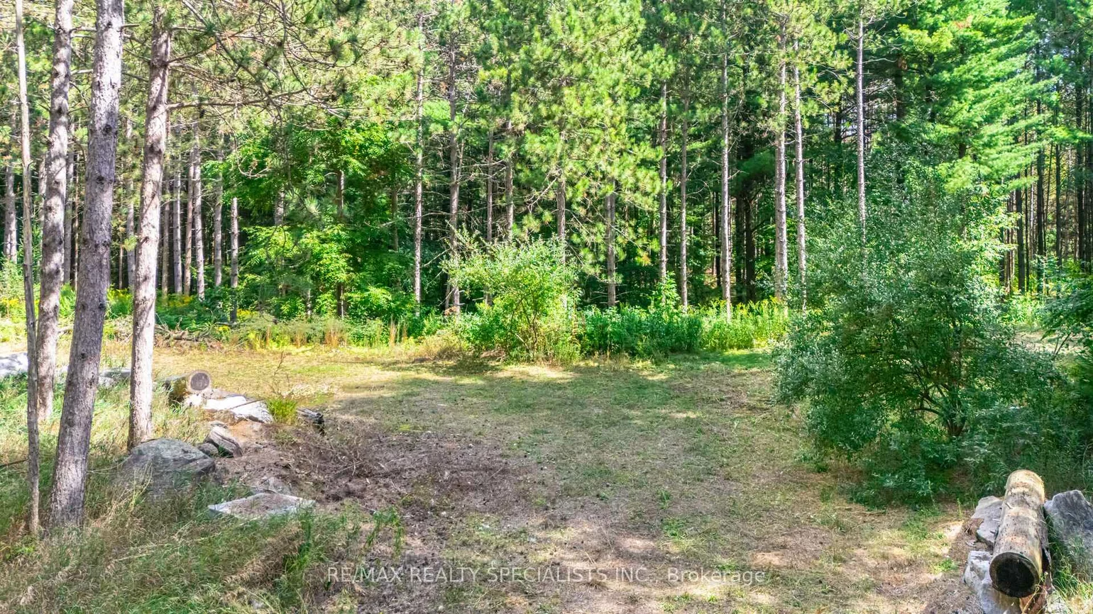 18711, The Gore, Rural Caledon, Caledon