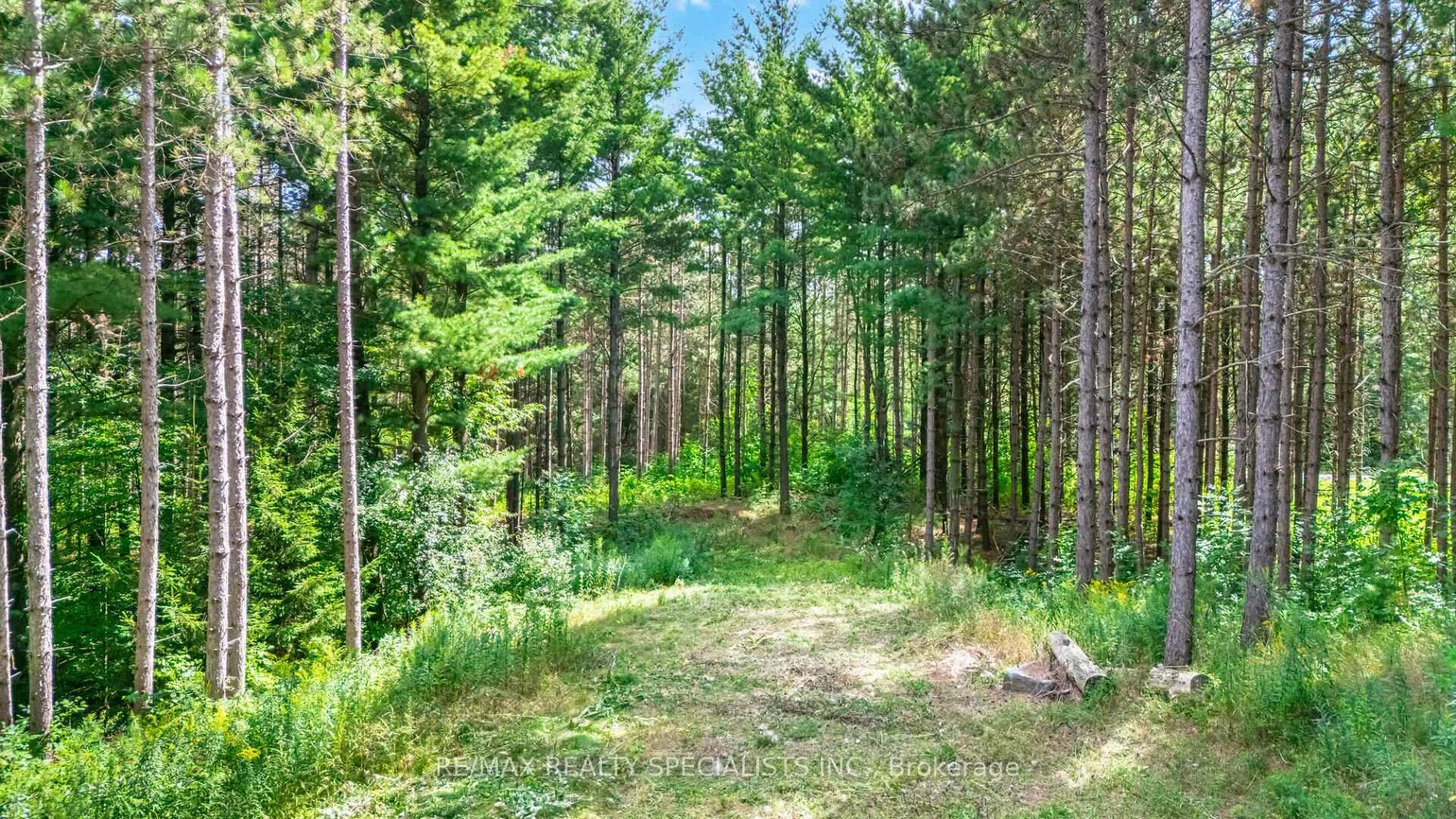 18711, The Gore, Rural Caledon, Caledon