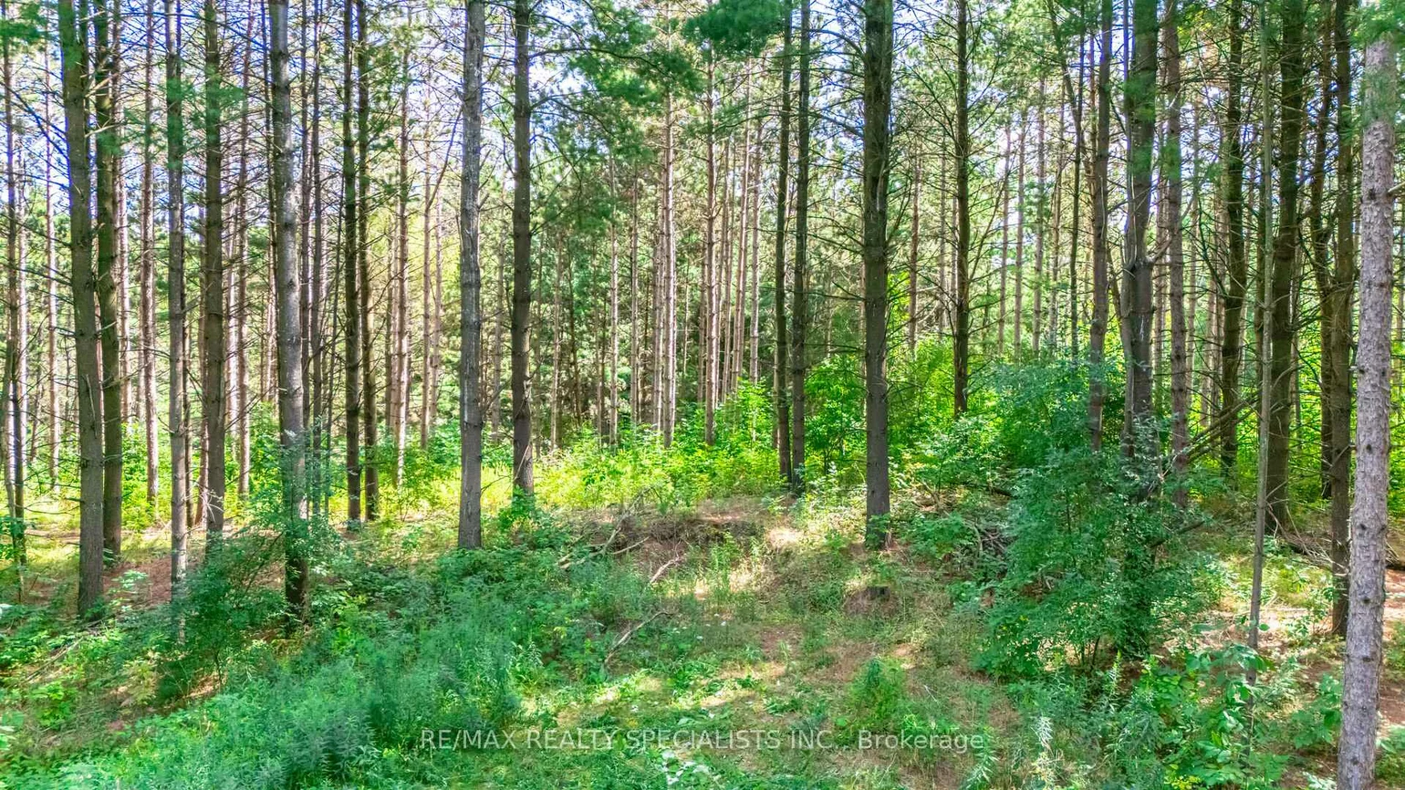 18711, The Gore, Rural Caledon, Caledon