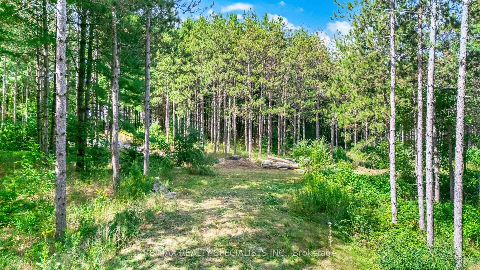 18711, The Gore, Rural Caledon, Caledon