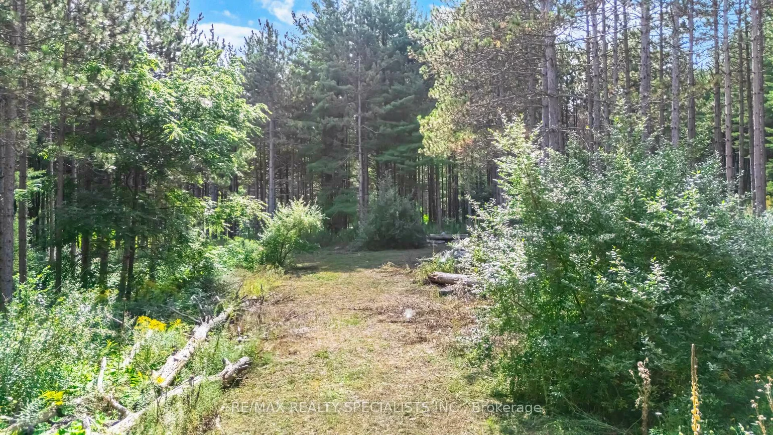 18711, The Gore, Rural Caledon, Caledon