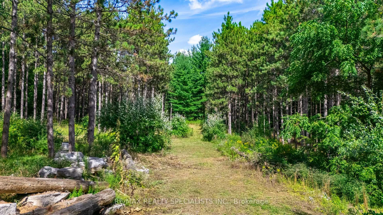 18711, The Gore, Rural Caledon, Caledon