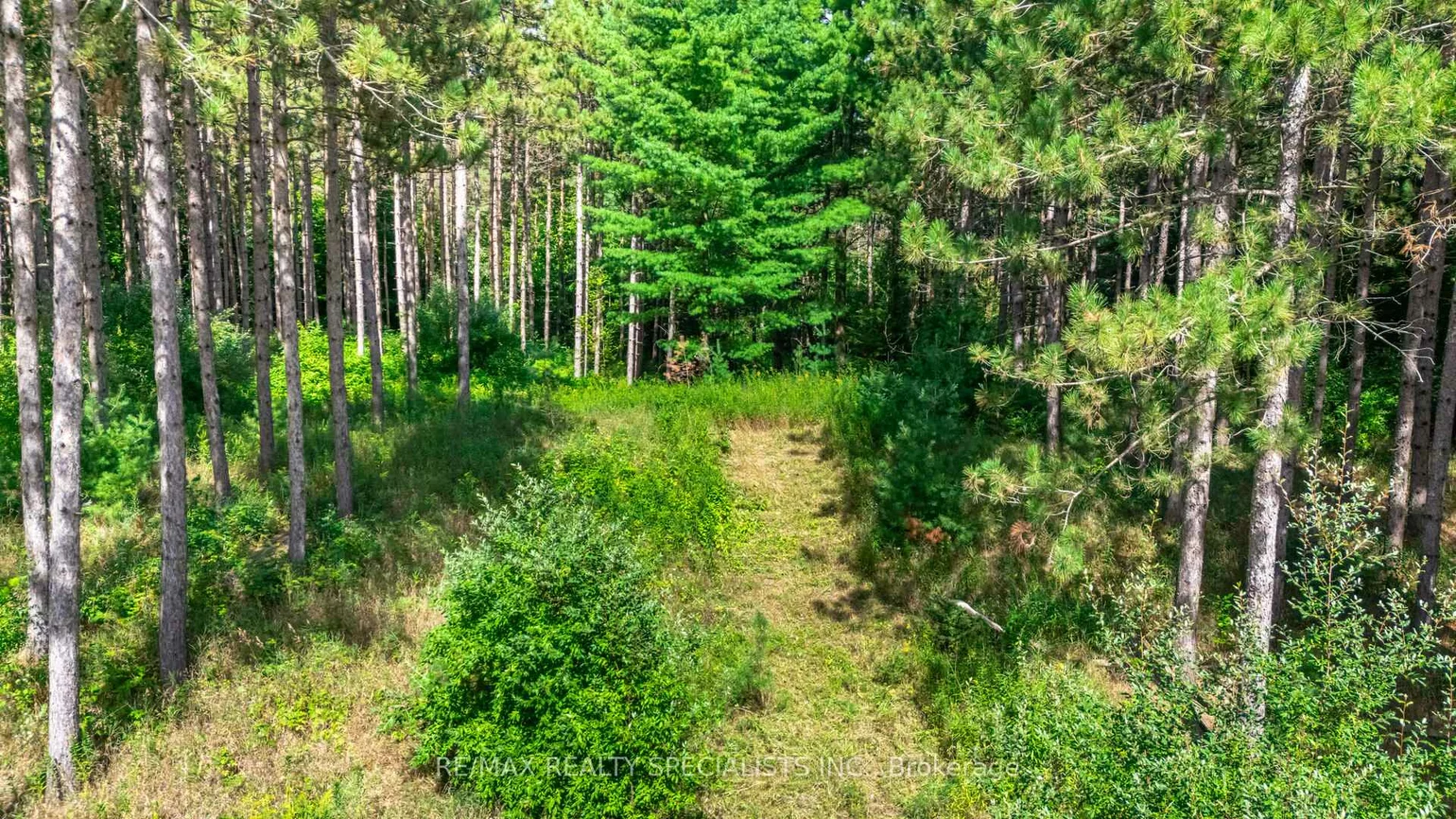 18711, The Gore, Rural Caledon, Caledon