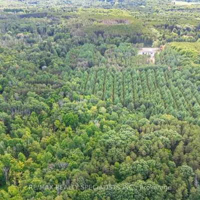 18711, The Gore, Rural Caledon, Caledon