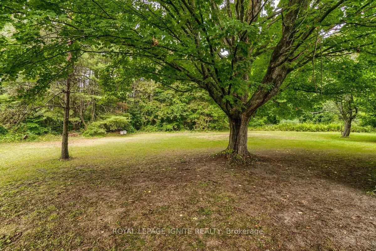 5812, Beech Grove, Rural Caledon, Caledon