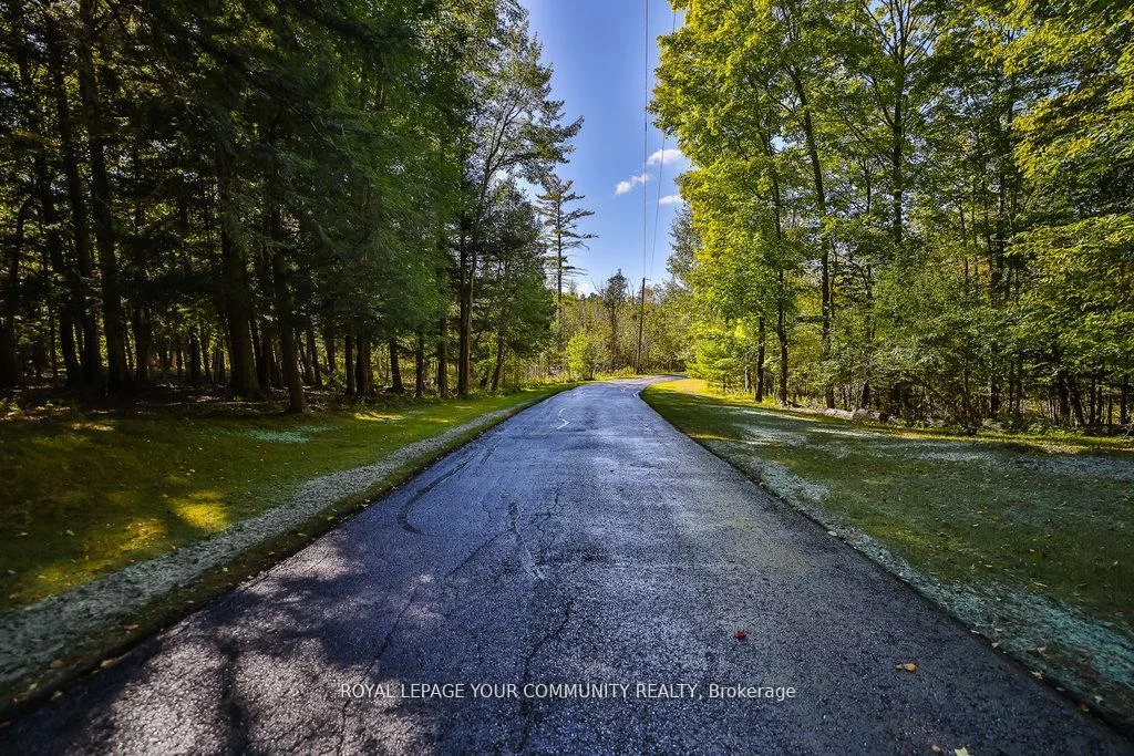 8339, Finnerty, Palgrave, Caledon