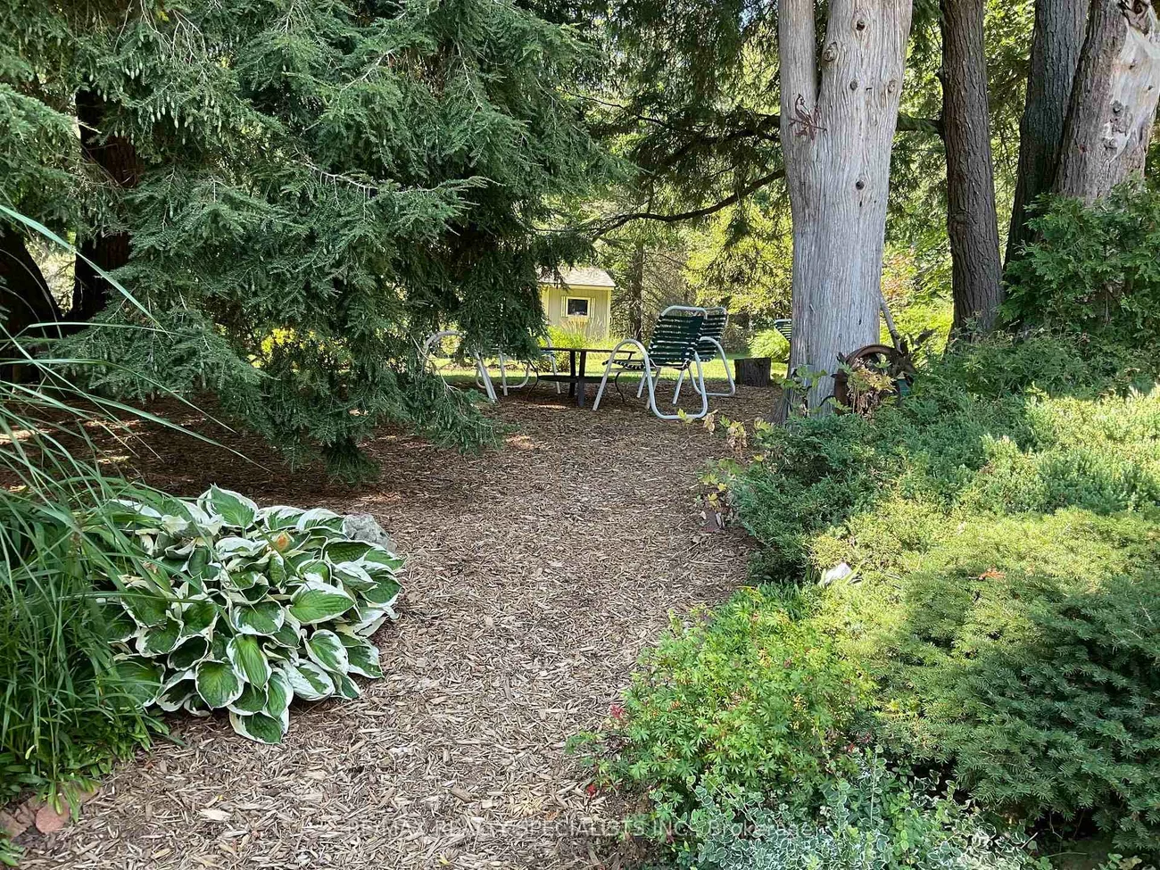 37, George, Rural Caledon, Caledon