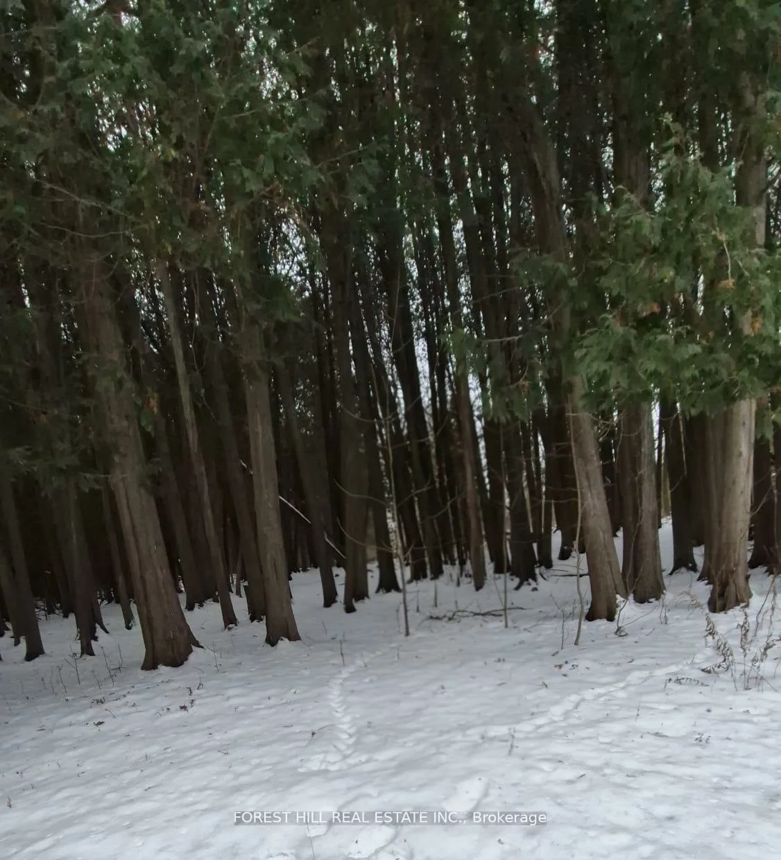 6263, Finnerty, Rural Caledon, Caledon