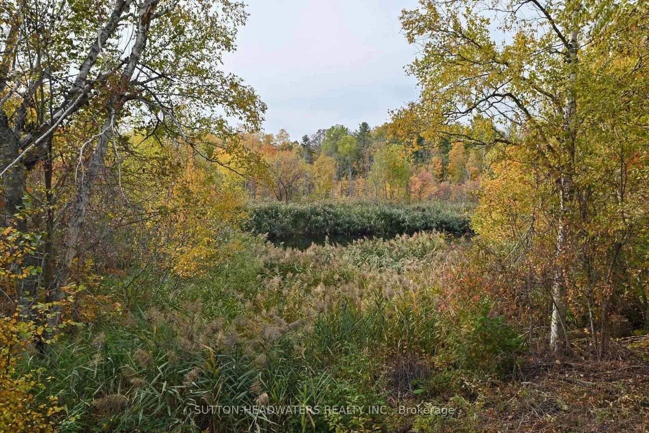30, Cedar, Rural Caledon, Caledon