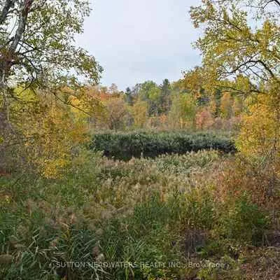 30, Cedar, Rural Caledon, Caledon