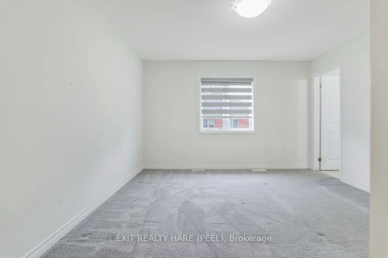 40, Speckled Alder, Rural Caledon, Caledon