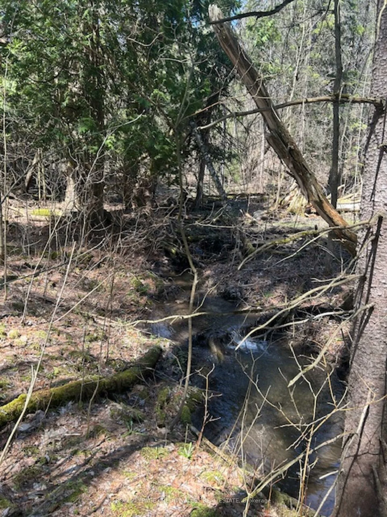 17888, Innis Lake, Rural Caledon, Caledon