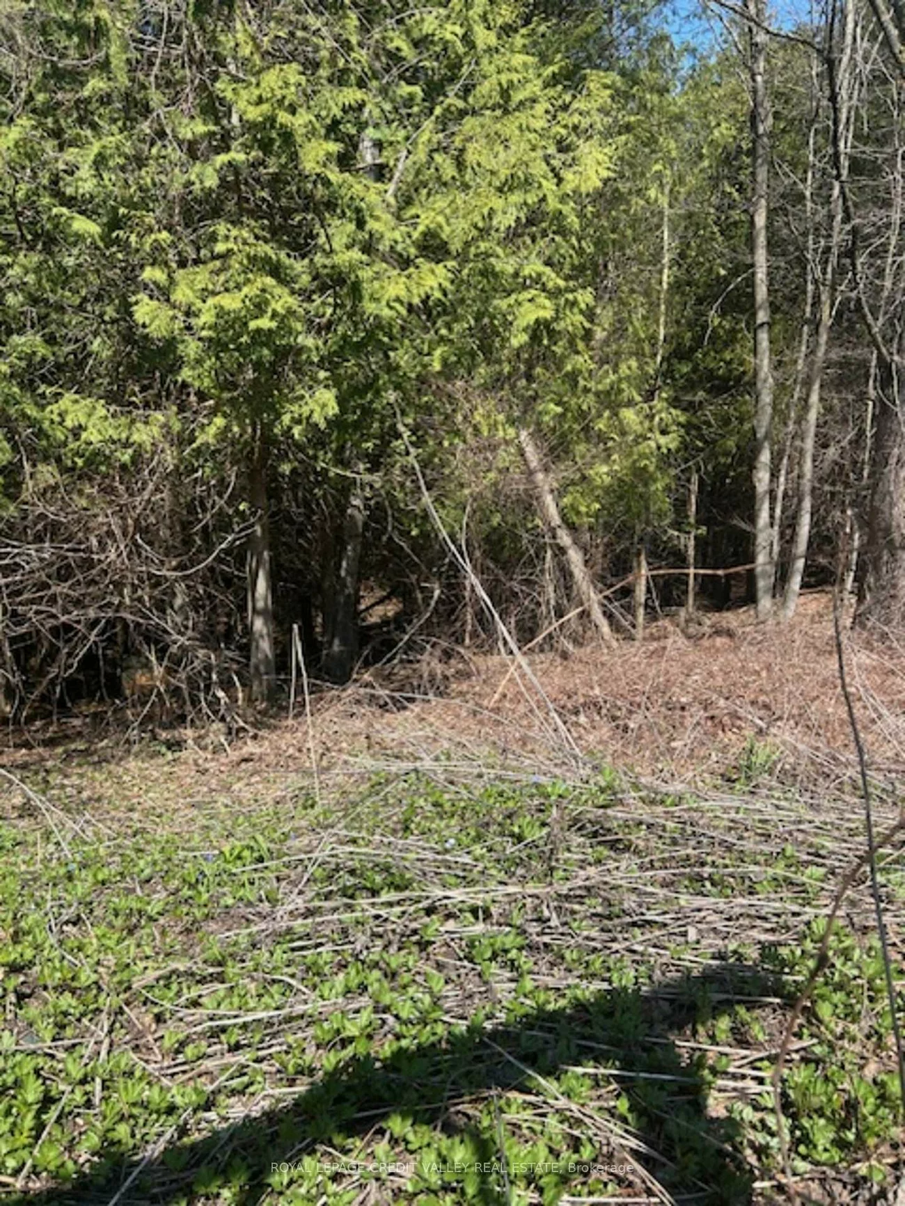 17888, Innis Lake, Rural Caledon, Caledon
