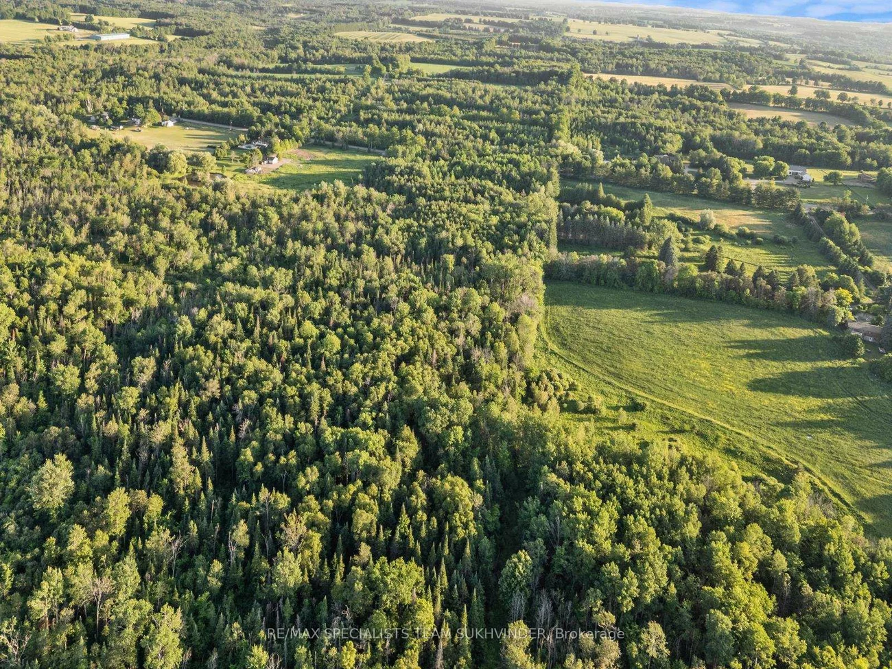 23, Winston Churchill, Rural Caledon, Caledon
