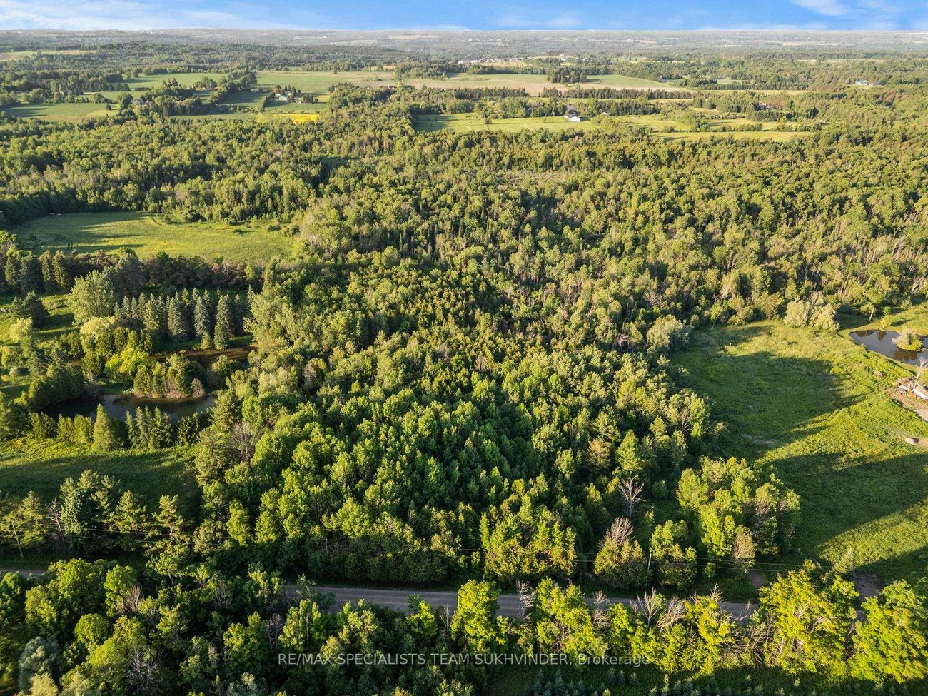 23, Winston Churchill, Rural Caledon, Caledon