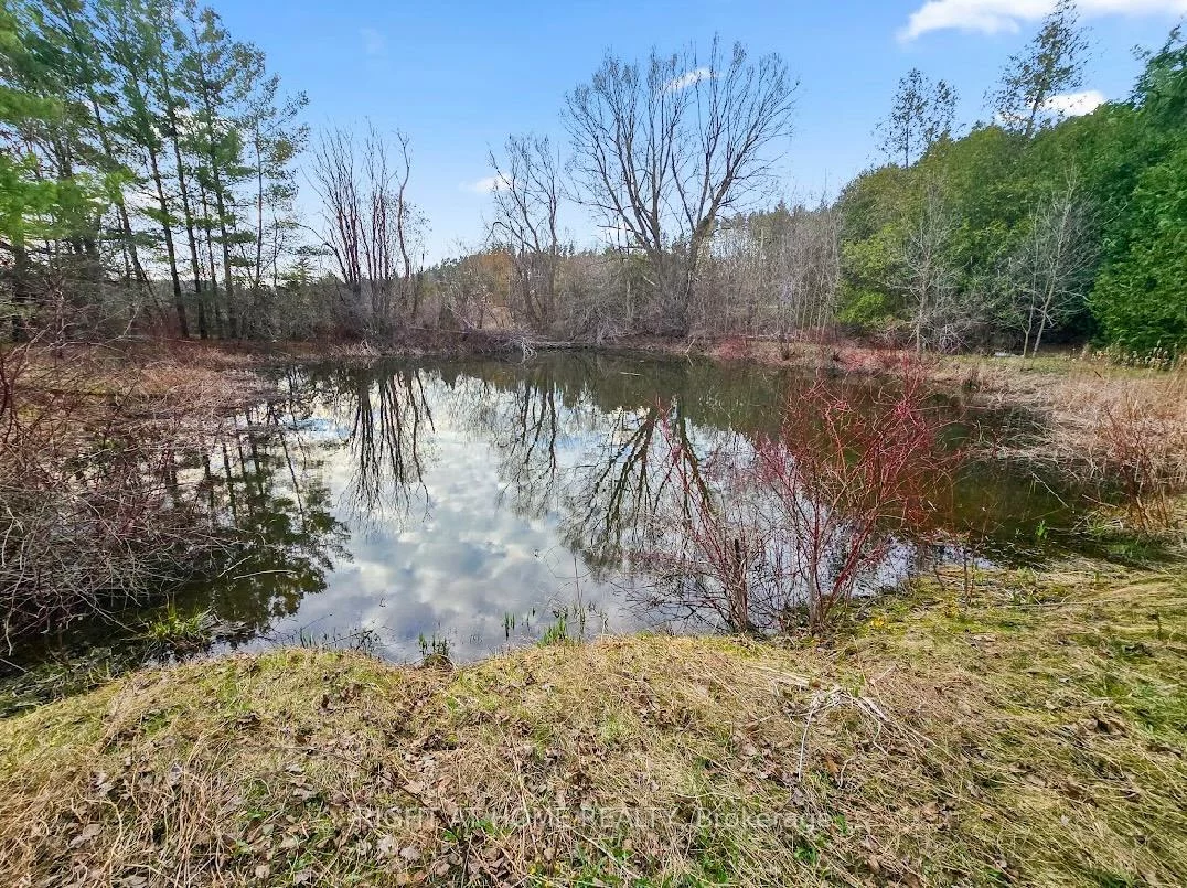 16568, MOUNT HOPE, Palgrave, Caledon