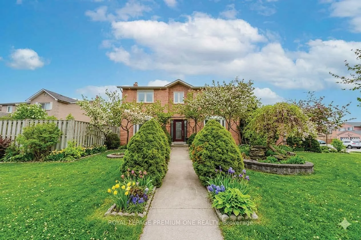 25, Sir Lancelot, Bolton East, Caledon