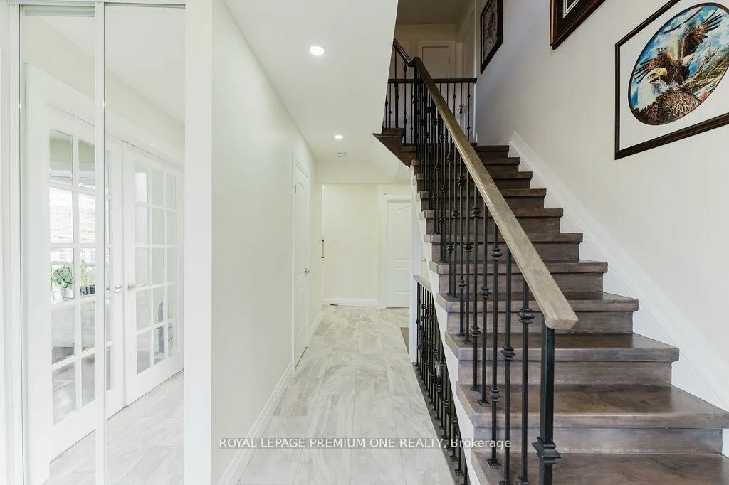 25, Sir Lancelot, Bolton East, Caledon