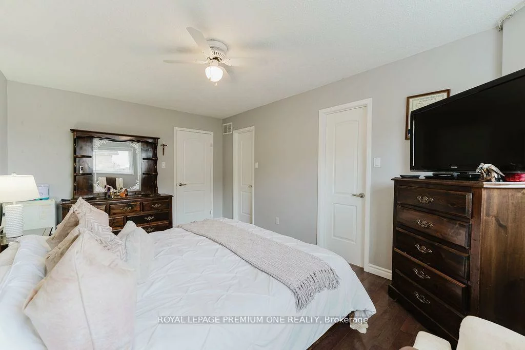 25, Sir Lancelot, Bolton East, Caledon