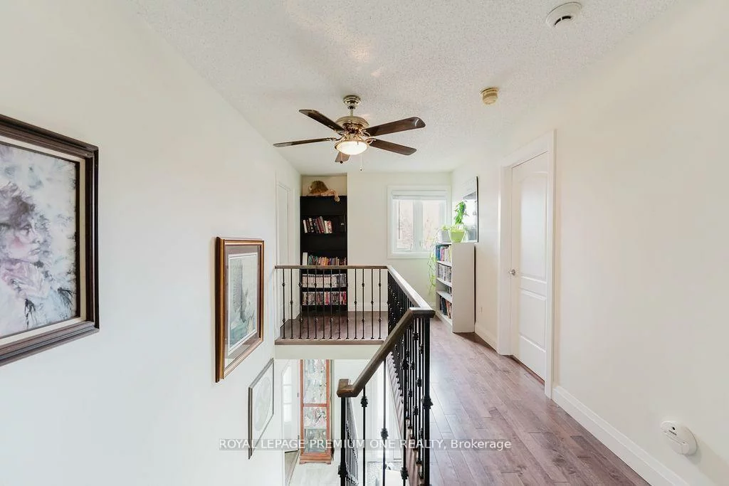 25, Sir Lancelot, Bolton East, Caledon