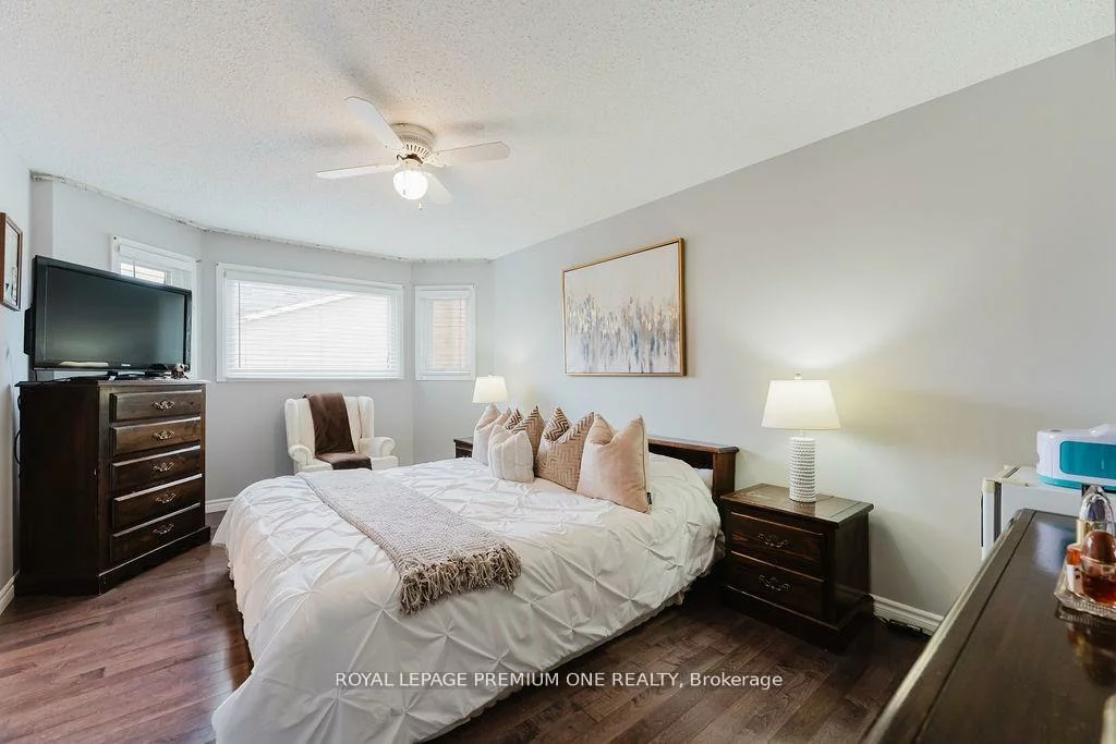 25, Sir Lancelot, Bolton East, Caledon