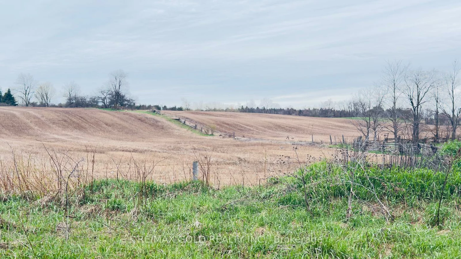 4476, Beech Grove, Rural Caledon, Caledon