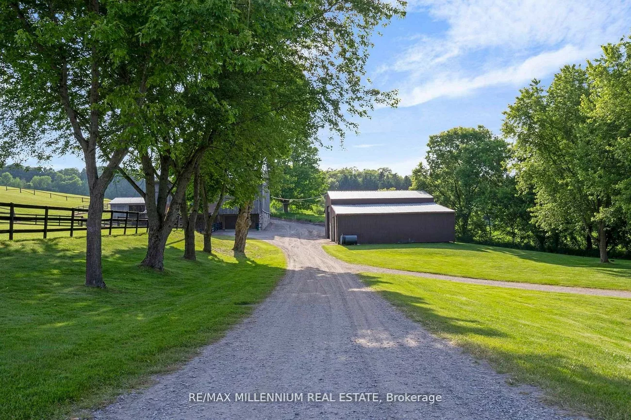 16718, Caledon King, Palgrave, Caledon
