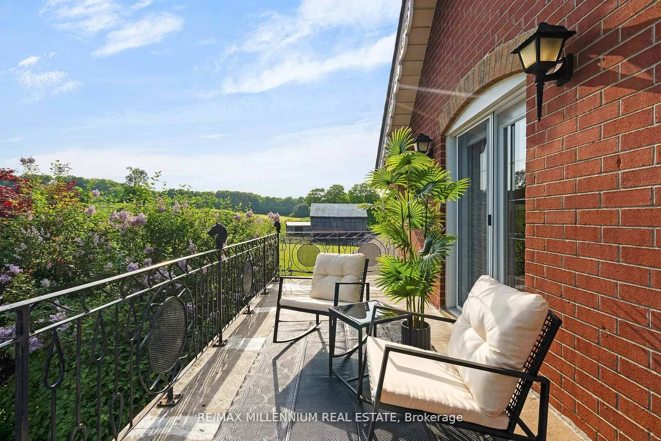 16718, Caledon King, Palgrave, Caledon
