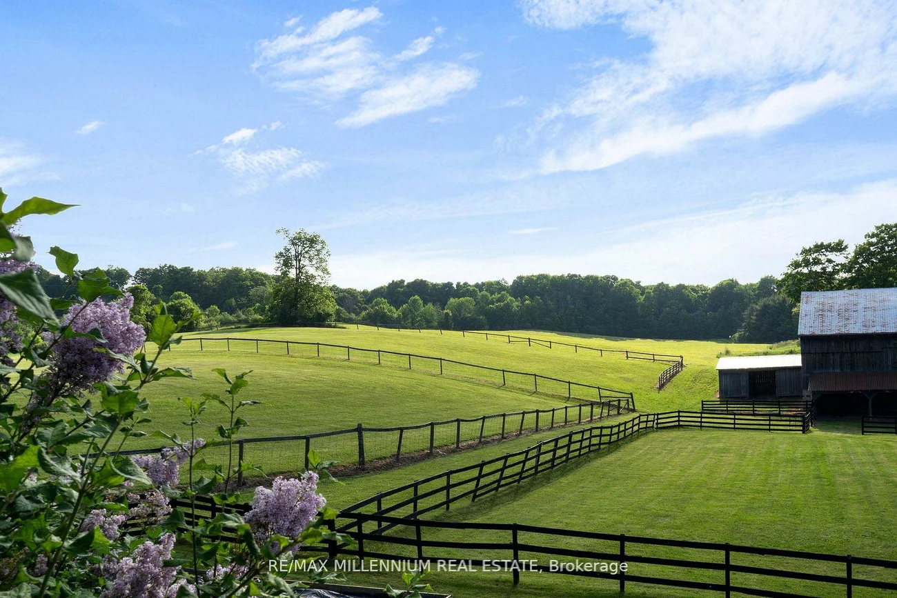 16718, Caledon King, Palgrave, Caledon