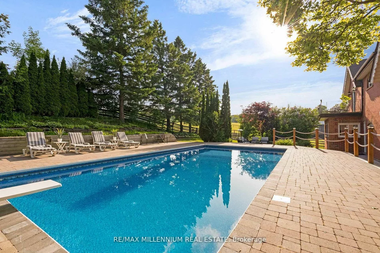 16718, Caledon King, Palgrave, Caledon