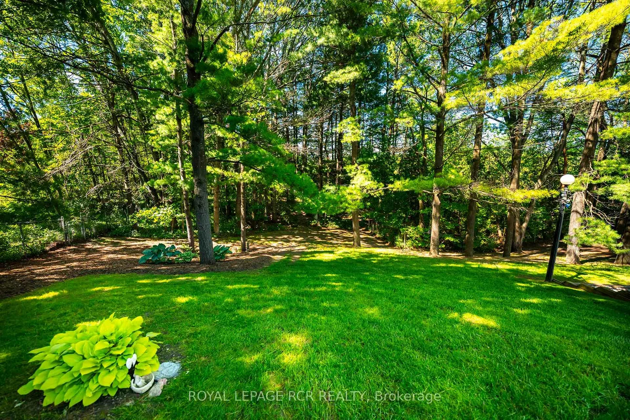 3, Carroll, Palgrave, Caledon