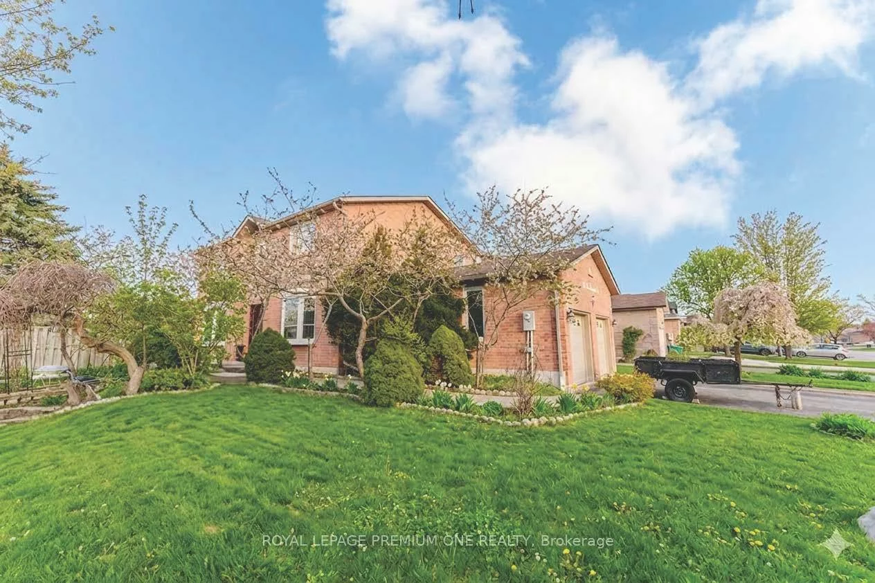 25, Sir Lancelot, Bolton East, Caledon