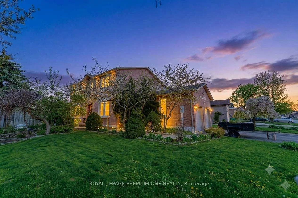 25, Sir Lancelot, Bolton East, Caledon